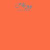 Barnstaple Orange Thumbnail
